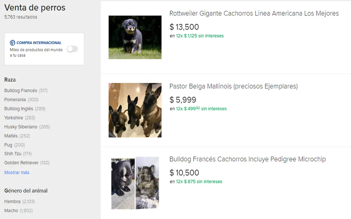 venta de perros en internet